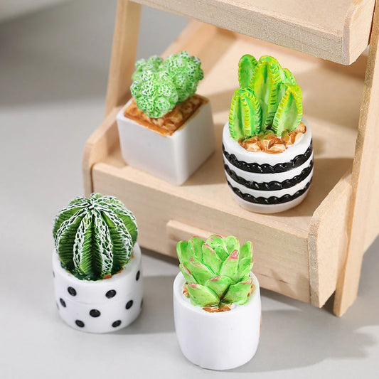 Mini Cactus DIY Kit for Stylish Indoor Decor